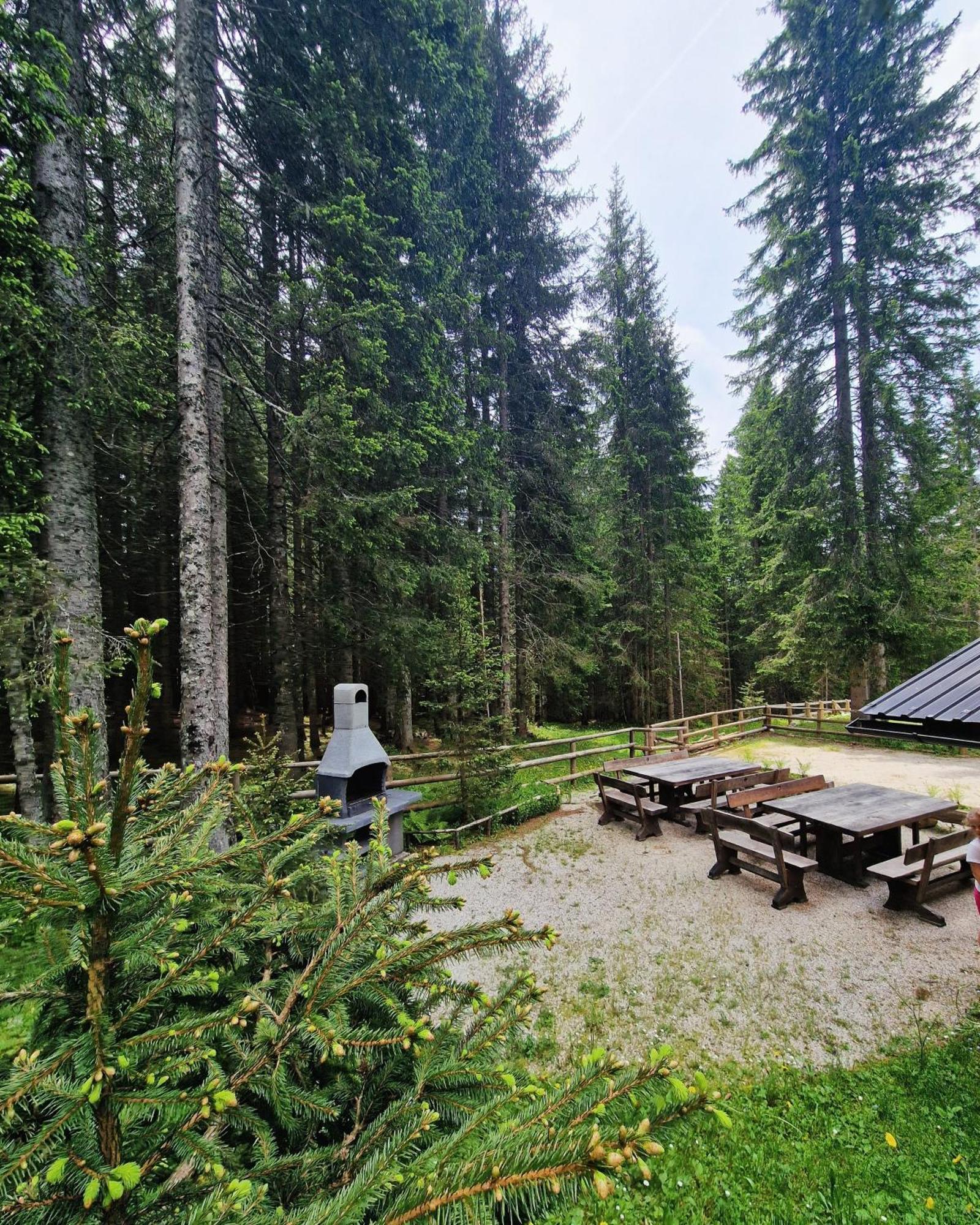 Forest Apartments Pokljuka ゴレンスカ地方 エクステリア 写真