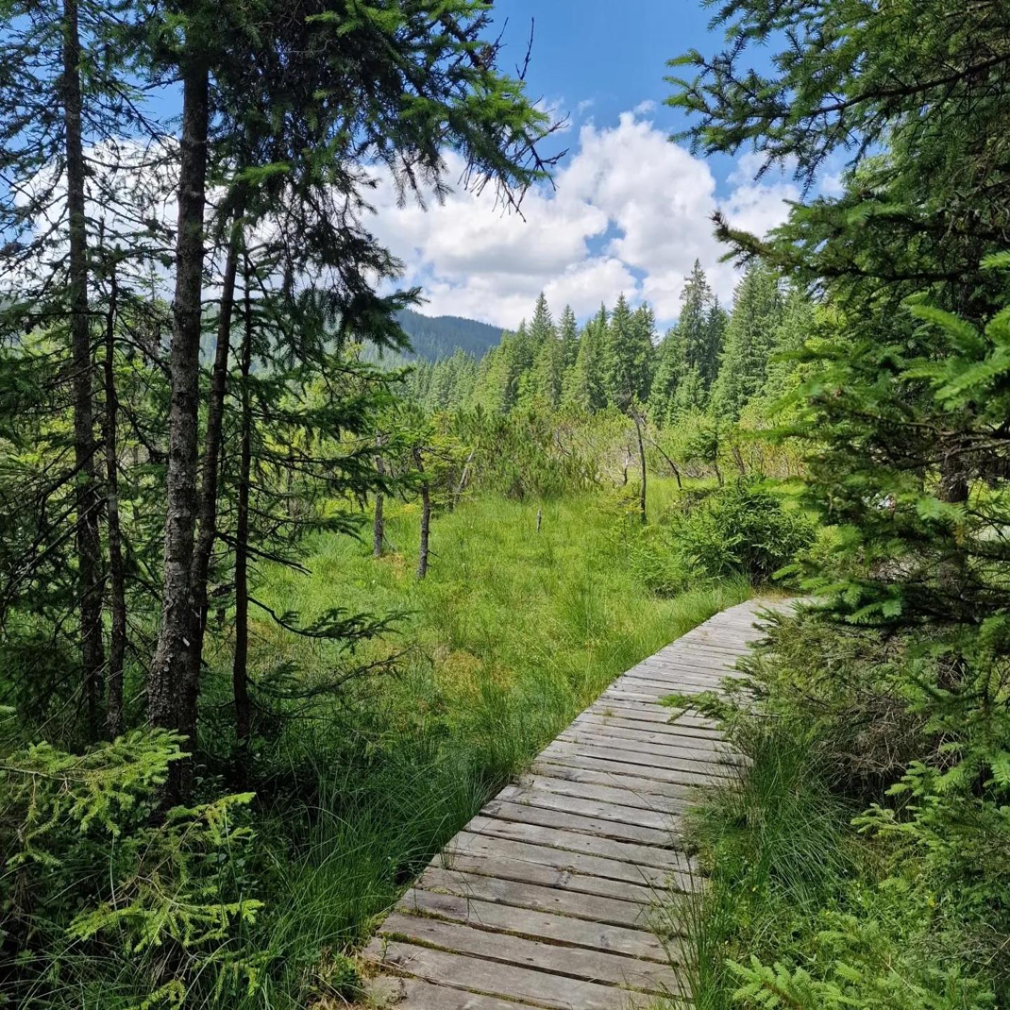 Forest Apartments Pokljuka ゴレンスカ地方 エクステリア 写真