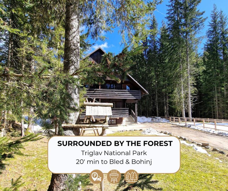 Forest Apartments Pokljuka ゴレンスカ地方 エクステリア 写真