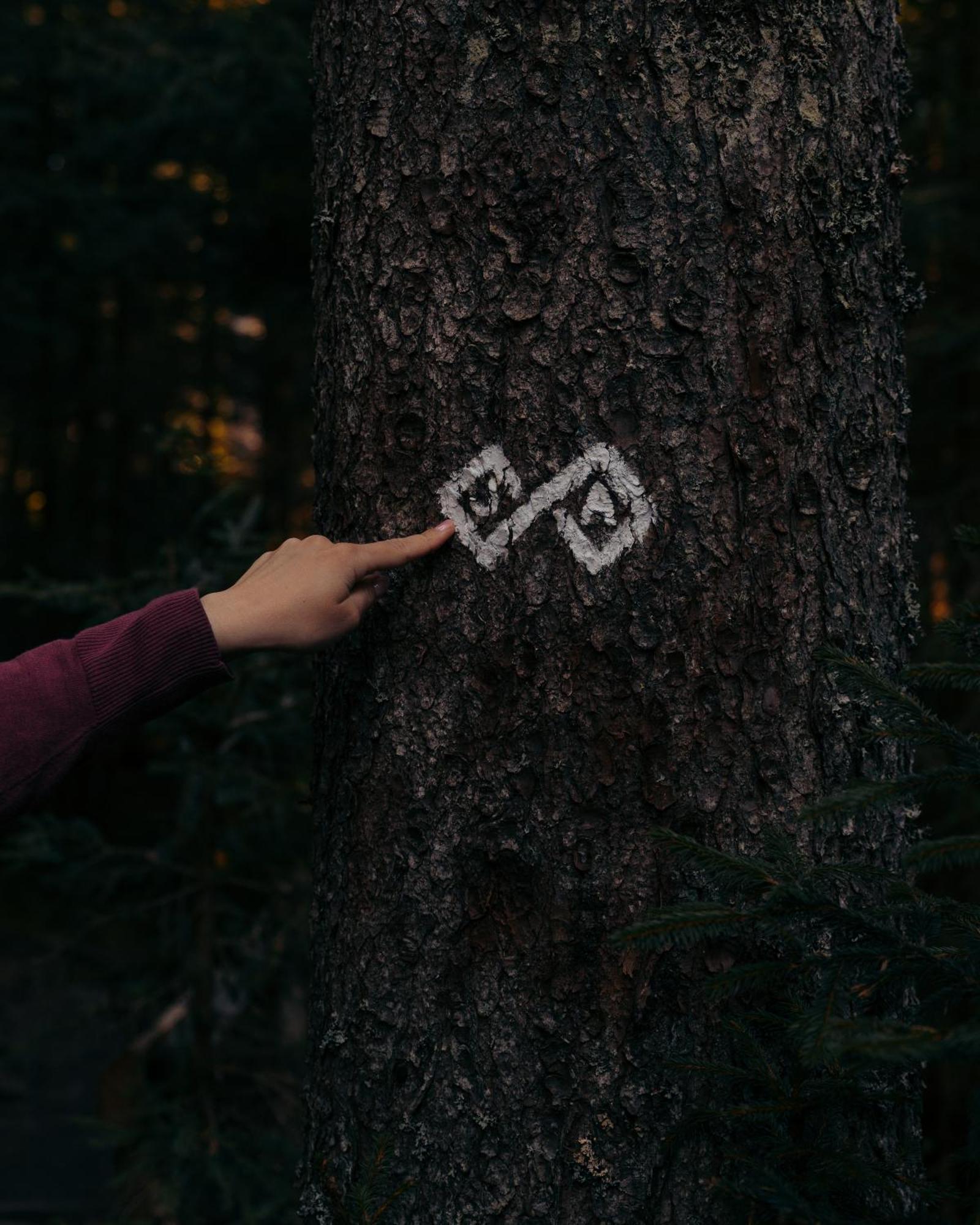Forest Apartments Pokljuka ゴレンスカ地方 エクステリア 写真